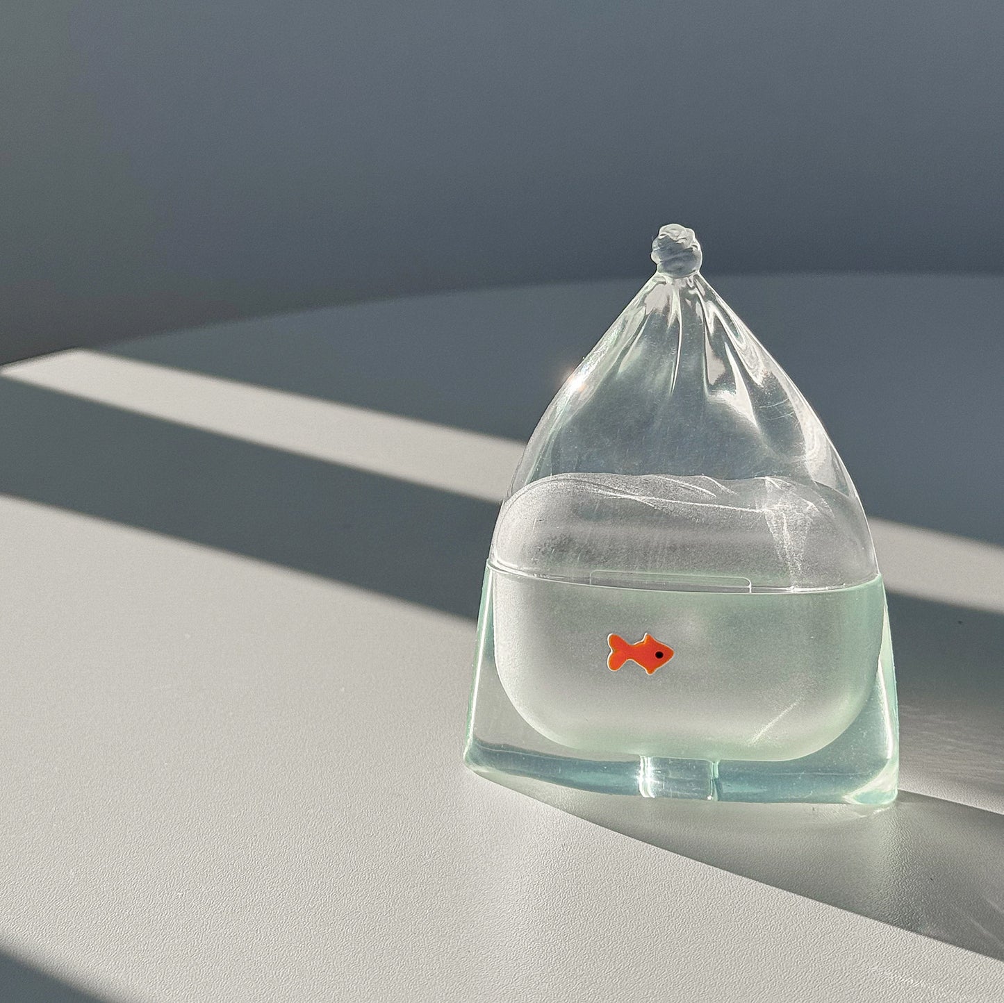 The Fishbowl Case