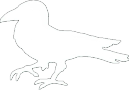 White Crow